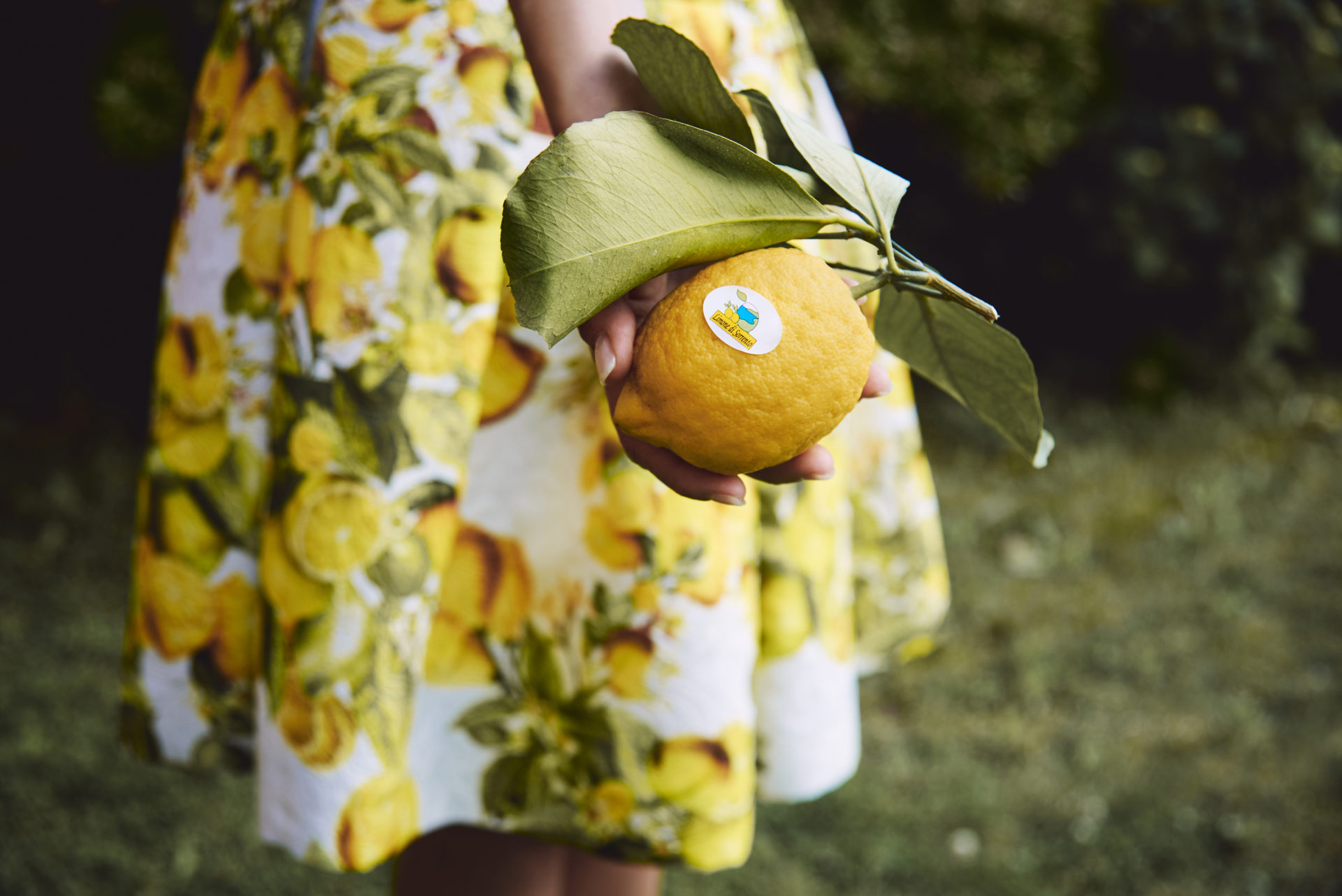 TasteofStyle_Limoni_5109