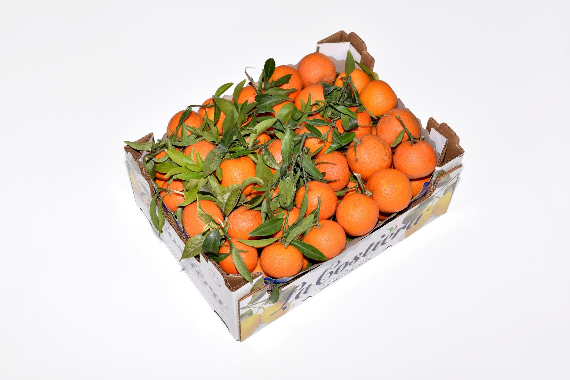 Clementine Foglie Italia calibro 2/3 categoria 1°