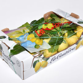 Limone primo fiore foglia calibro 3 categoria 1° 5,5Kg