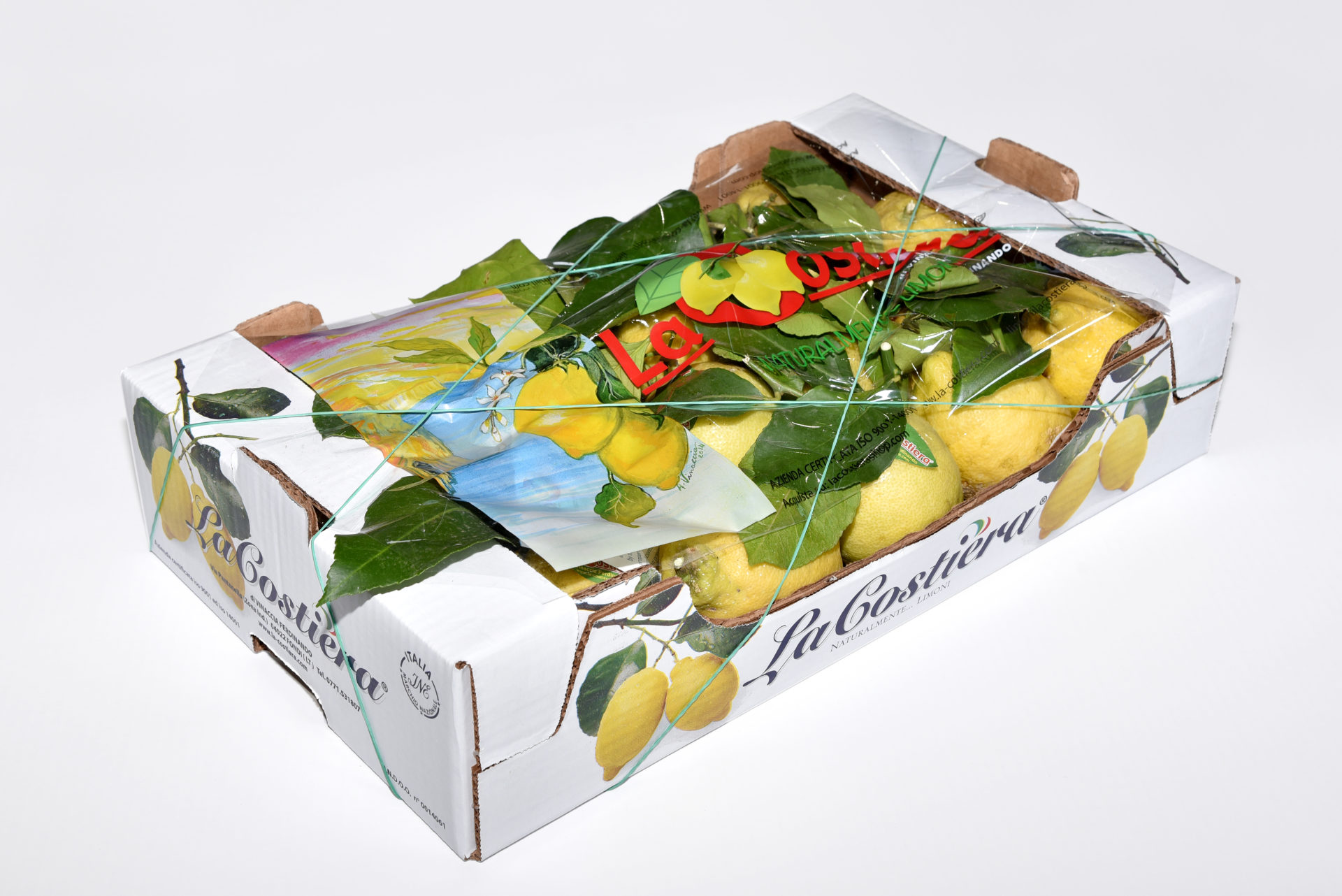 Lemon Primo Fiore with leaf caliber 3 category 1 5,5Kg