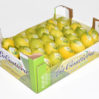 Limone BIO  calibro 3 categoria 2° 7Kg