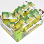 Lemon Bio  Italy in net caliber 4/5 Category 2 6Kg