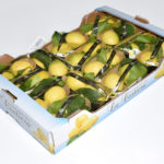 Limone primo fiore foglia calibro 4 categoria 1° 4.2Kg