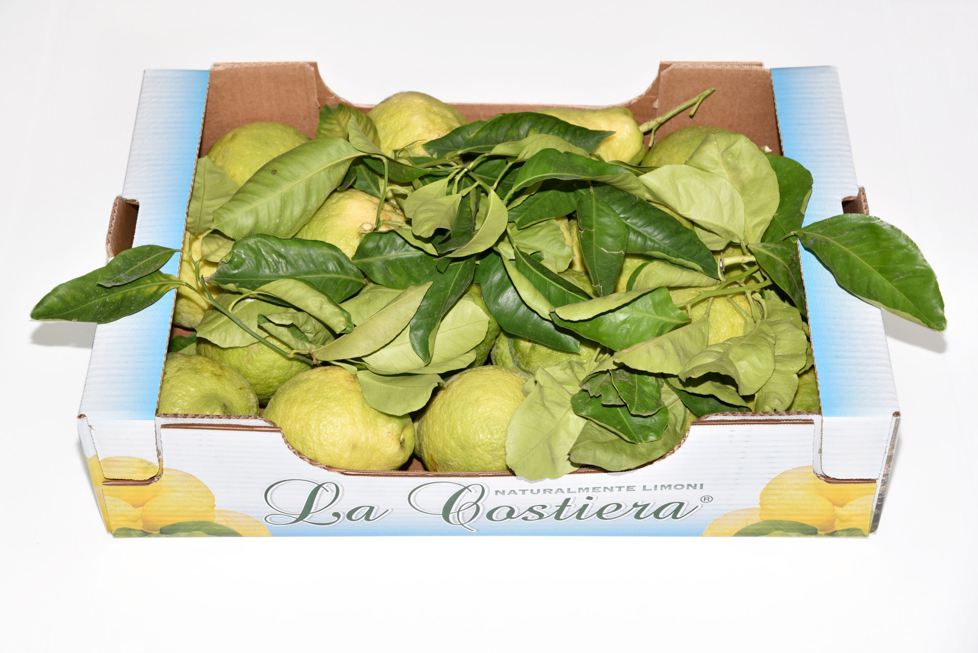 Cedro nasone con foglia categoria 2° 9Kg